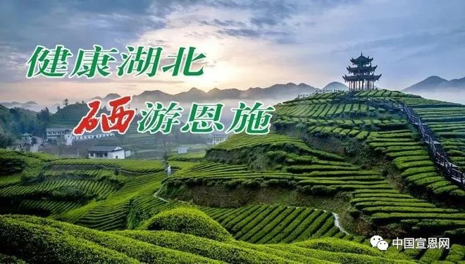 恩施网站推广开发怎么做?恩施网站推广哪里好 第3张 恩施网站推广开发怎么做?恩施网站推广哪里好 第3张