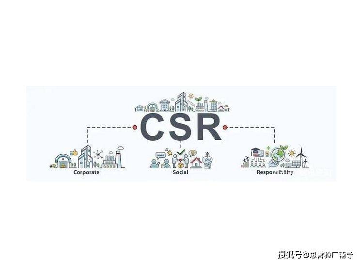 csr域名是什么?企业社会责任域名注册全流程指南 第2张 csr域名是什么?企业社会责任域名注册全流程指南 第2张