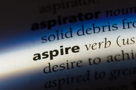 aspif或是什么?揭秘这个神秘词汇背后的故事与用途。 第3张 aspif或是什么?揭秘这个神秘词汇背后的故事与用途。 第3张