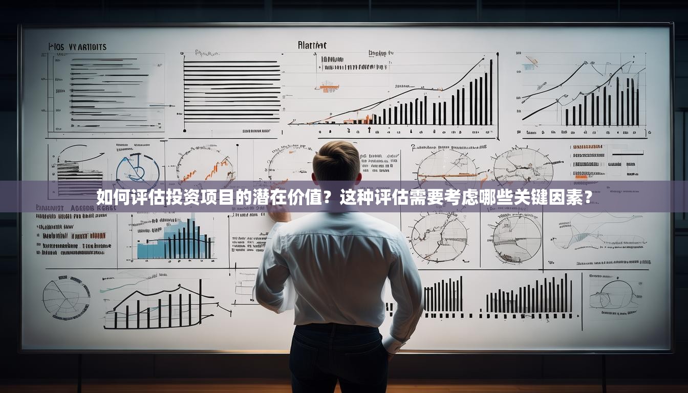 网站开发是否值得投入?如何评估其长期效益与潜在风险? 第3张 网站开发是否值得投入?如何评估其长期效益与潜在风险? 第3张
