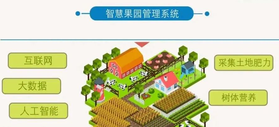 皇家果园系统定制开发多少钱,果园管理系统定制开发 第1张 皇家果园系统定制开发多少钱,果园管理系统定制开发 第1张