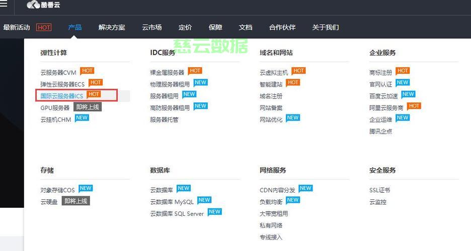 服务器配置VIP是什么意思,VIP服务器配置怎么样? 第3张 服务器配置VIP是什么意思,VIP服务器配置怎么样? 第3张