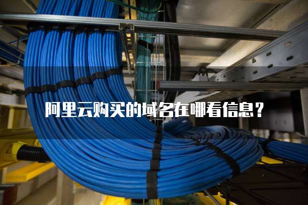 阿里云域名信息查看具体位置在哪里?详细步骤揭秘! 第2张 阿里云域名信息查看具体位置在哪里?详细步骤揭秘! 第2张