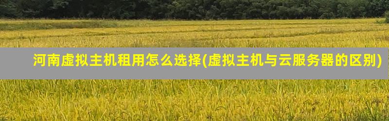 平顶山云主机租用怎么选?这3个要点帮你避开坑! 第1张 平顶山云主机租用怎么选?这3个要点帮你避开坑! 第1张