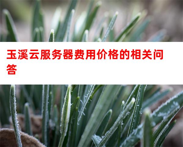 服务器玉溪价格是多少？性价比高的玉溪服务器推荐？