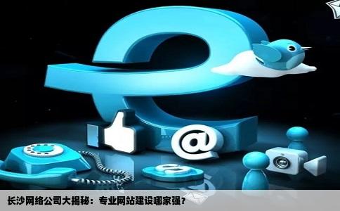 长沙网页设计开发公司哪家好?长沙专业做网站的公司推荐 第3张 长沙网页设计开发公司哪家好?长沙专业做网站的公司推荐 第3张
