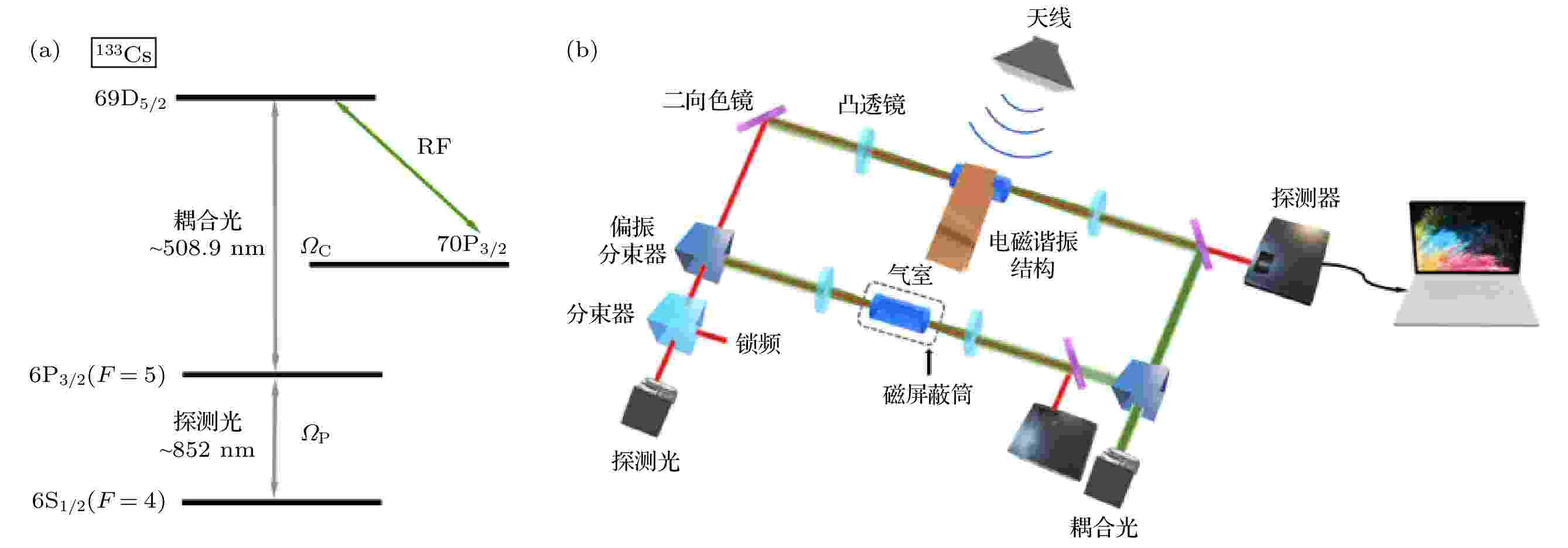 光纤多路传像的图像光电扫描技术是什么?光纤传像束技术原理 第3张 光纤多路传像的图像光电扫描技术是什么?光纤传像束技术原理 第3张