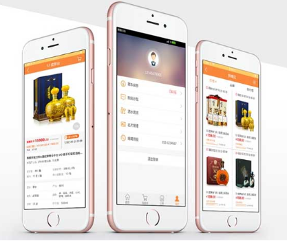 定制app商城究竟有何特殊之处?它的开发与普通app有何不同? 第1张 定制app商城究竟有何特殊之处?它的开发与普通app有何不同? 第1张