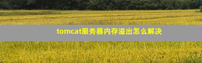 服务器设置tomcat运行内存溢出怎么办? 第3张 服务器设置tomcat运行内存溢出怎么办? 第3张