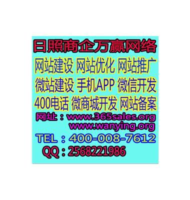 日照提供网站开发哪家专业？日照网站开发公司哪家好