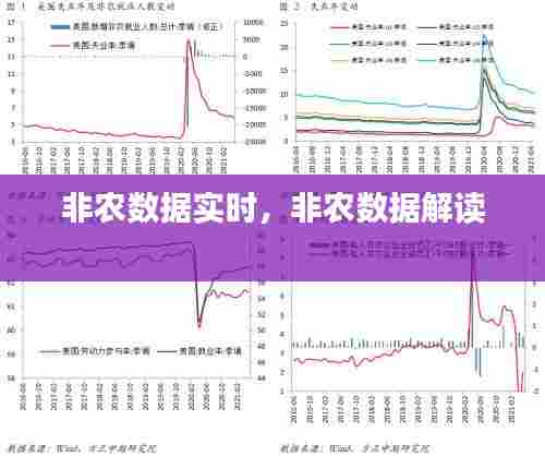 非农数据软件真的准确吗？揭秘其真实效果与可靠性！ 第2张
