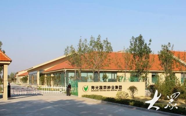 寿光网站开发效果怎么样?寿光网站开发哪家公司好 第3张 寿光网站开发效果怎么样?寿光网站开发哪家公司好 第3张
