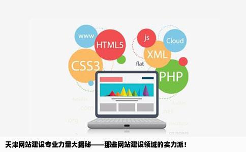 天津网站建设开发技术哪家强,天津网站建设开发 第2张 天津网站建设开发技术哪家强,天津网站建设开发 第2张