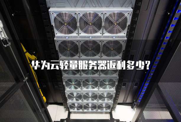 服务器返利怎么算?服务器返利政策及计算方法 第2张 服务器返利怎么算?服务器返利政策及计算方法 第2张