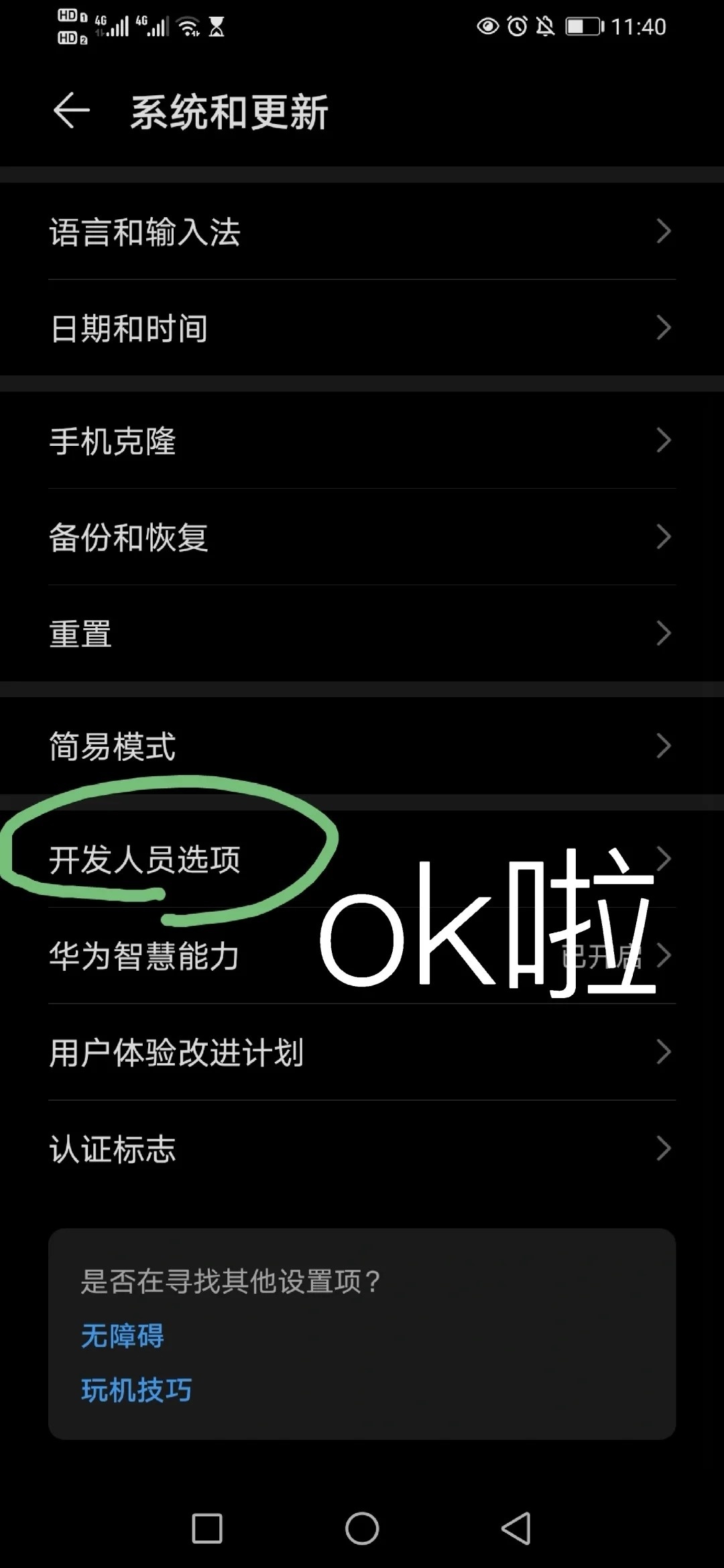 为何安卓手机需要打开开发者选项?具体操作步骤是什么? 第1张 为何安卓手机需要打开开发者选项?具体操作步骤是什么? 第1张