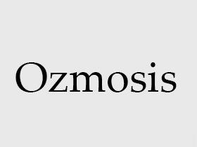 Ozmosis配置步骤详解?新手配置时遇到的问题及解决方法? 第1张 Ozmosis配置步骤详解?新手配置时遇到的问题及解决方法? 第1张