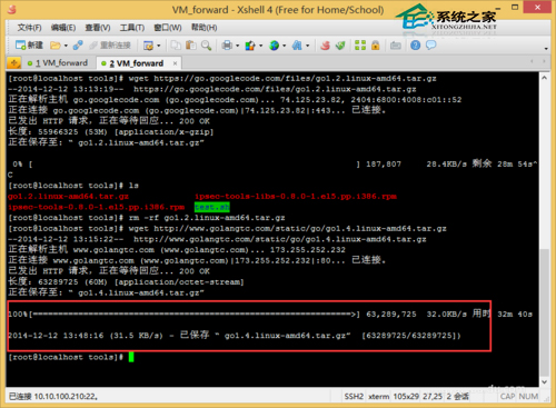 golang在Linux系统下环境搭建步骤是什么?新手快速上手指南 第1张 golang在Linux系统下环境搭建步骤是什么?新手快速上手指南 第1张