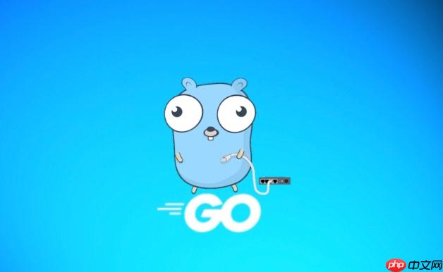 golang在Linux环境中如何加载so库?解决加载失败的问题 第1张 golang在Linux环境中如何加载so库?解决加载失败的问题 第1张