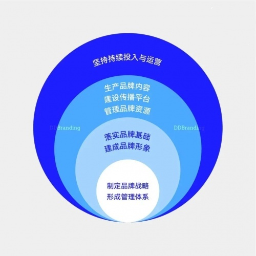 网站开发如何带来企业品牌形象提升与市场竞争力增强的五大优势? 第1张 网站开发如何带来企业品牌形象提升与市场竞争力增强的五大优势? 第1张