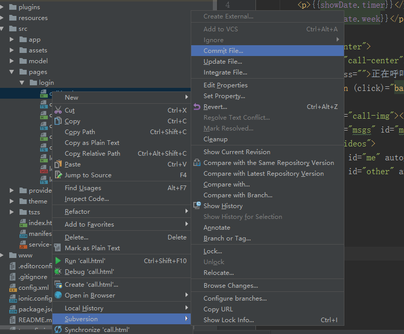 如何配置Mac版WebStorm的SVN?从安装到集成操作全指南 第3张 如何配置Mac版WebStorm的SVN?从安装到集成操作全指南 第3张