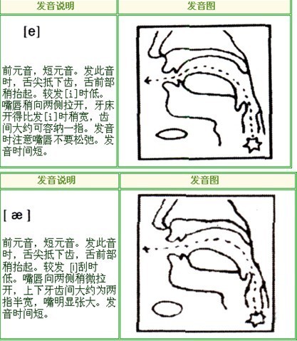 法语中gn分开发音吗,法语gn什么时候分开发音 第1张 法语中gn分开发音吗,法语gn什么时候分开发音 第1张