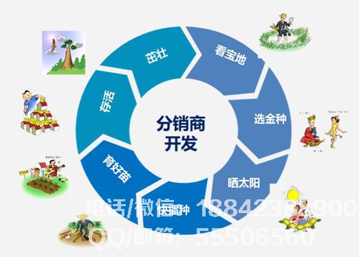天津分销商城开发公司如何选择?需关注哪些技术与服务要点? 第1张 天津分销商城开发公司如何选择?需关注哪些技术与服务要点? 第1张