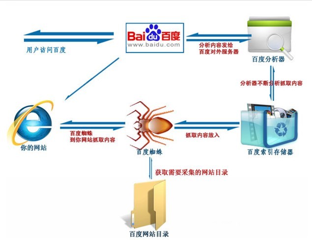 百度蜘蛛开发,百度蜘蛛怎么抓取网站 第2张 百度蜘蛛开发,百度蜘蛛怎么抓取网站 第2张