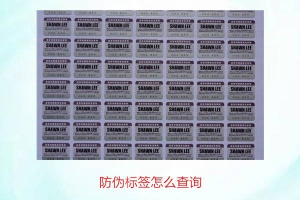 防伪查询asp如何准确识别真伪,揭秘防伪查询技术的奥秘? 第1张 防伪查询asp如何准确识别真伪,揭秘防伪查询技术的奥秘? 第1张