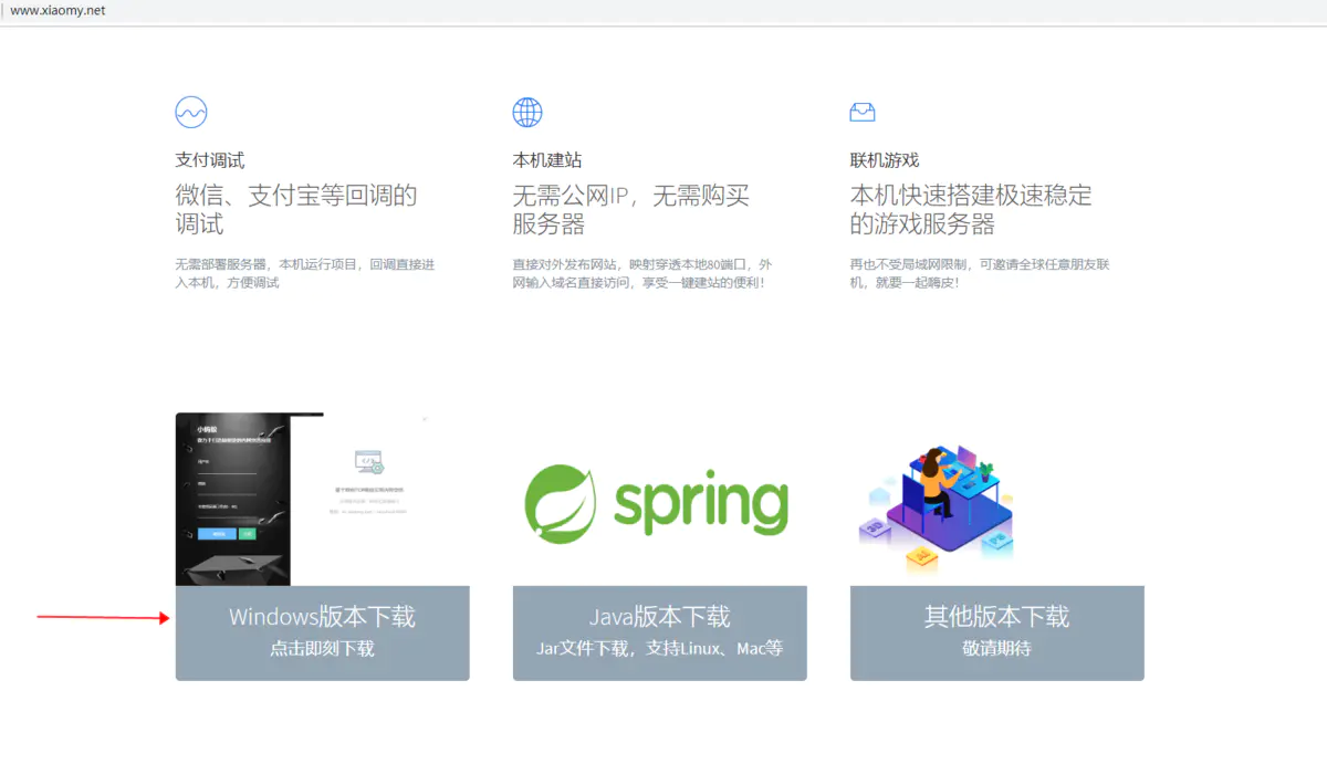 内网域名映射工具怎么用?内网穿透工具哪个好用 第2张 内网域名映射工具怎么用?内网穿透工具哪个好用 第2张