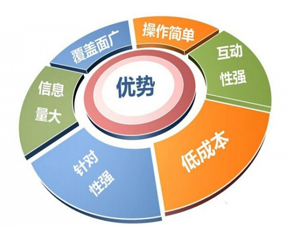 想开发一个网站吗?低成本高效完成的方法与步骤详解? 第3张 想开发一个网站吗?低成本高效完成的方法与步骤详解? 第3张