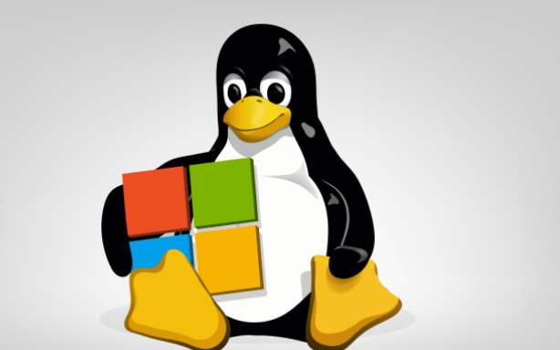 低配置电脑能否流畅运行Linux?新手入门常见问题及优化方法 第2张 低配置电脑能否流畅运行Linux?新手入门常见问题及优化方法 第2张