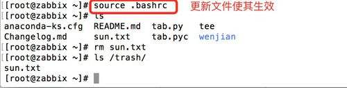 如何有效防止在Linux系统中意外删除重要文件? 第1张 如何有效防止在Linux系统中意外删除重要文件? 第1张