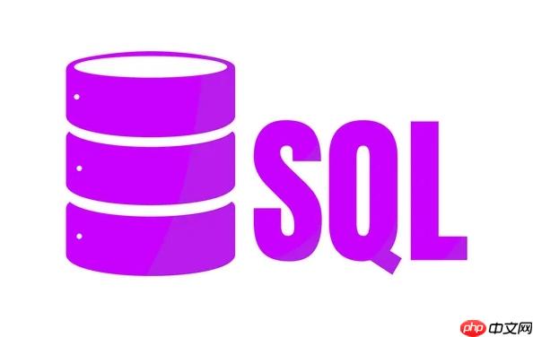 防SQL载入大揭秘,如何有效应对防sql中的潜在风险? 第1张 防SQL载入大揭秘,如何有效应对防sql中的潜在风险? 第1张