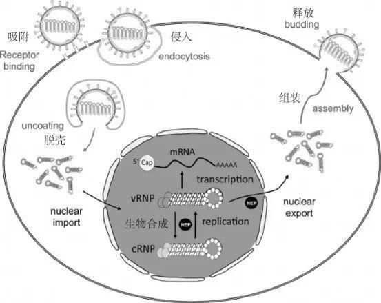 防护系统怎样在应对病度入侵时,其有效性和稳定性如何保障? 第2张 防护系统怎样在应对病度入侵时,其有效性和稳定性如何保障? 第2张