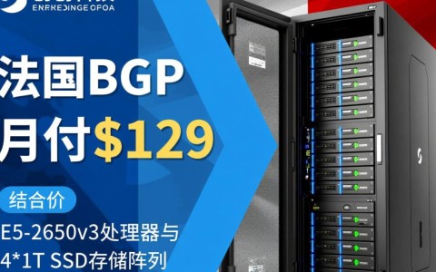 OVHcloud欧洲BGP服务器怎么样,月付799元值得买吗? 第3张 OVHcloud欧洲BGP服务器怎么样,月付799元值得买吗? 第3张