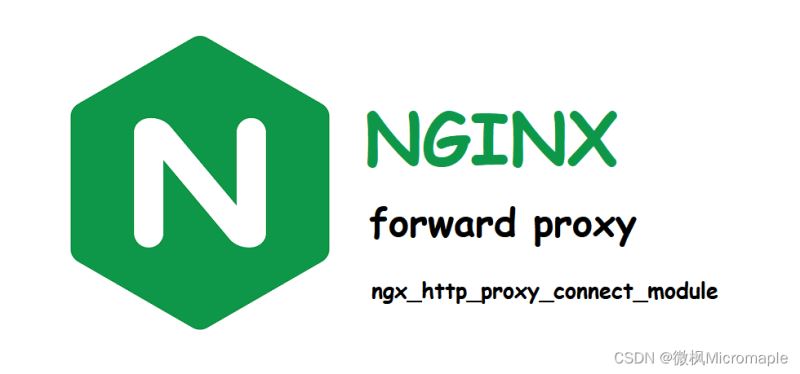 nginx proxy配置详解,nginx代理配置参数怎么设置 第1张 nginx proxy配置详解,nginx代理配置参数怎么设置 第1张