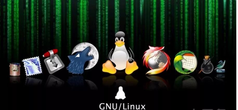 服务器版Linux和普通Linux有啥区别?适合新手用吗? 第2张 服务器版Linux和普通Linux有啥区别?适合新手用吗? 第2张