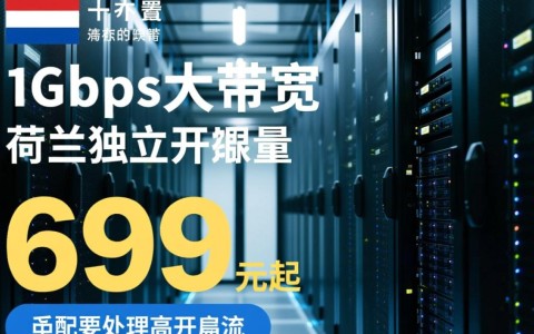 荷兰不限流量独服怎么样,CubeCloud 399元独服靠谱吗 第2张 荷兰不限流量独服怎么样,CubeCloud 399元独服靠谱吗 第2张