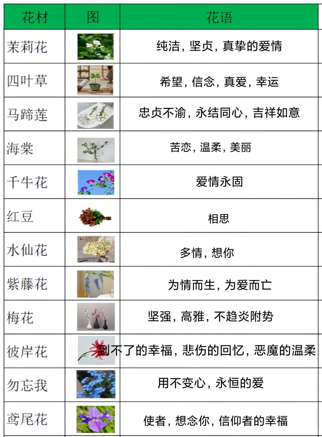 勿忘我配置如何选?高性价比勿忘我配置推荐 第1张 勿忘我配置如何选?高性价比勿忘我配置推荐 第1张