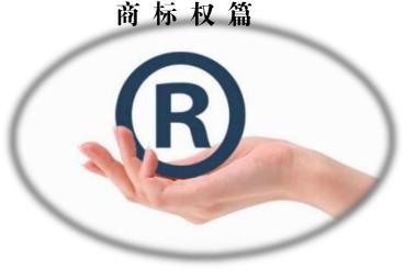 域名与商标有关系吗,域名和商标属于同一类知识产权吗 第2张 域名与商标有关系吗,域名和商标属于同一类知识产权吗 第2张