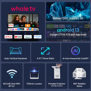 咸鱼云TeliaVPS测评怎么样?解锁Netflix好用吗?