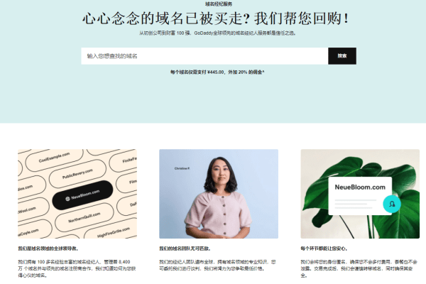 如何快速找到并注册心仪的域名?国内外平台大比拼! 第1张 如何快速找到并注册心仪的域名?国内外平台大比拼! 第1张