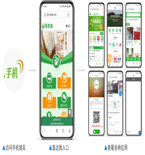 手机设置域名解析在哪里?手机设置域名解析教程 第1张 手机设置域名解析在哪里?手机设置域名解析教程 第1张