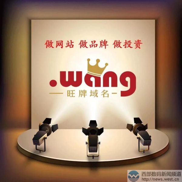 wang域名怎么样，wang域名能注册吗？ 第3张