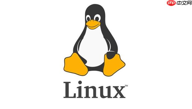 linuxdns配置教程,linuxdns配置错误怎么办 第3张 linuxdns配置教程,linuxdns配置错误怎么办 第3张