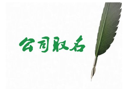 公司域名命名技巧，公司域名命名怎么取好？