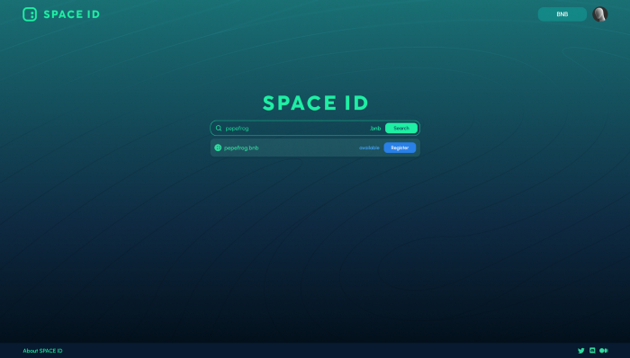 space 后缀域名是什么?space 域名注册多少钱 第3张 space 后缀域名是什么?space 域名注册多少钱 第3张