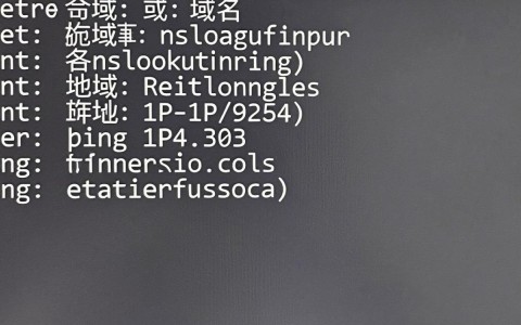 cmd 看域名是什么,域名查询命令 第3张 cmd 看域名是什么,域名查询命令 第3张