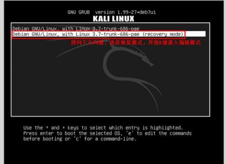 Kali 网络配置教程，Kali Linux 网卡设置失败怎么办