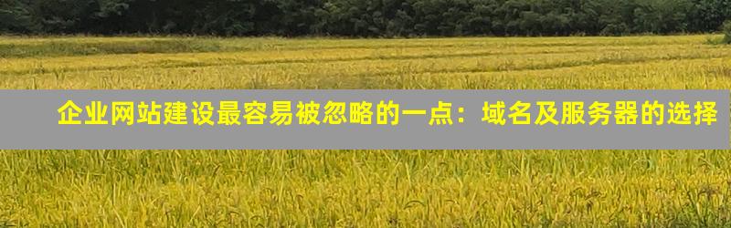 企业服务器域名怎么选?注册和解析有哪些坑要避免? 第2张 企业服务器域名怎么选?注册和解析有哪些坑要避免? 第2张